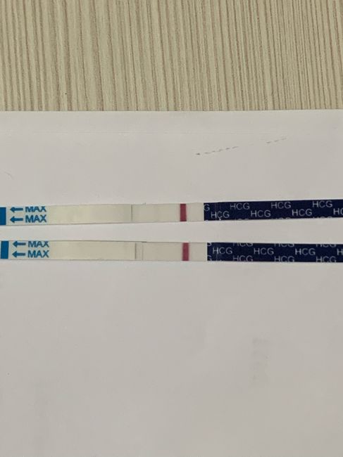 Chi non le aspetta per Gennaio 2022 🍀🍀🍀 - 2