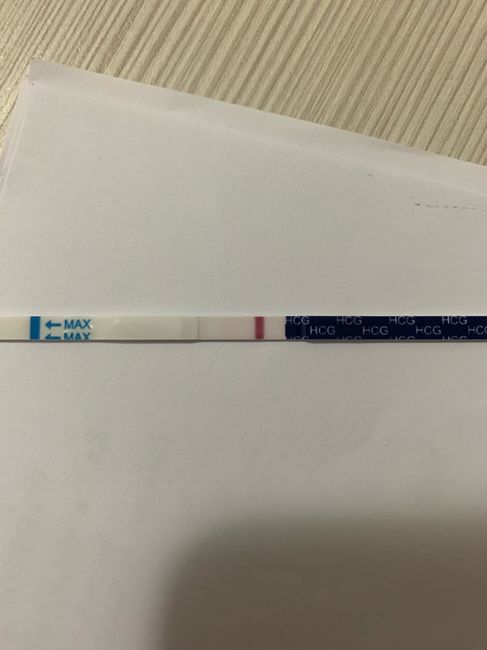 Chi non le aspetta per Gennaio 2022 🍀🍀🍀 - 1