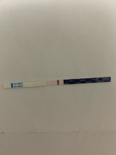 Chi non le aspetta per Gennaio 2022 🍀🍀🍀 - 1