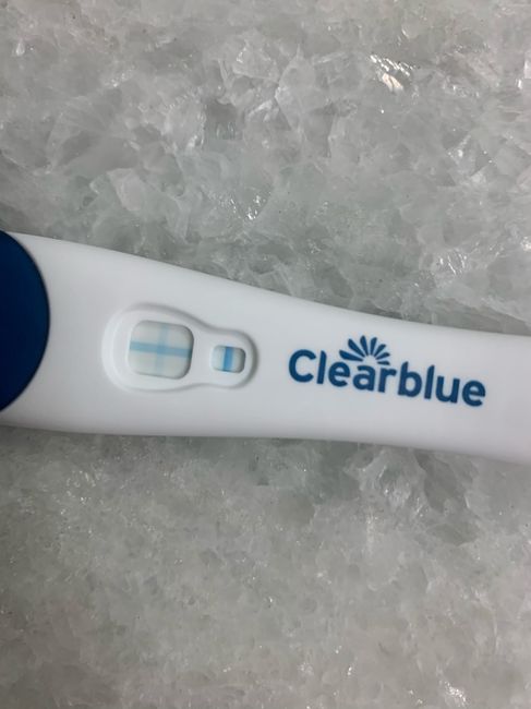 Chi non le aspetta per Gennaio 2022 🍀🍀🍀 - 2