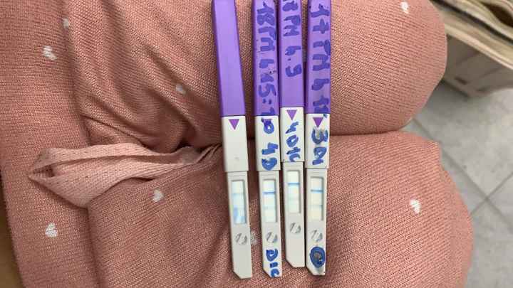 Chi non le aspetta per Gennaio 2022 🍀🍀🍀 - 2