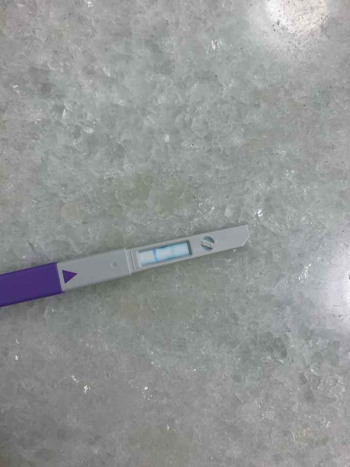 Chi non le aspetta per Gennaio 2022 🍀🍀🍀 - 1