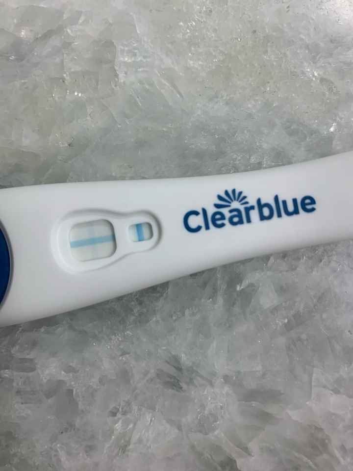 Chi non le aspetta per Gennaio 2022 🍀🍀🍀 - 1