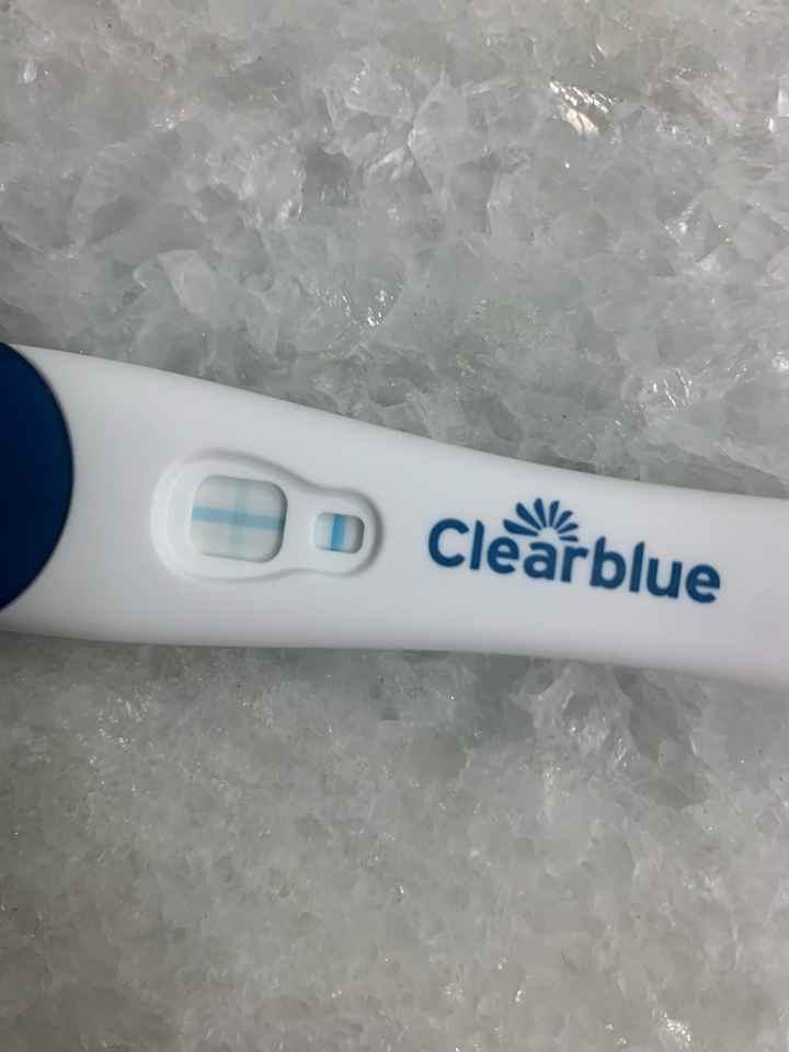 Chi non le aspetta per Gennaio 2022 🍀🍀🍀 - 2