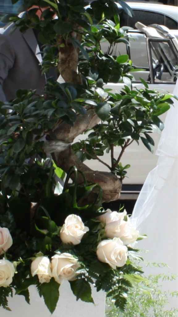 Per cosa avete detto wow ad un matrimonio? - 1