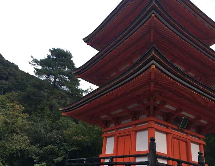 Giappone nel cuore! appena tornata dalla luna di miele! - 6