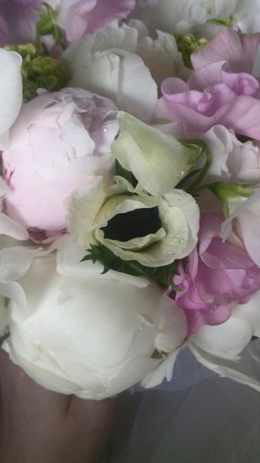 Idea bouquet astilbe japonica - 1