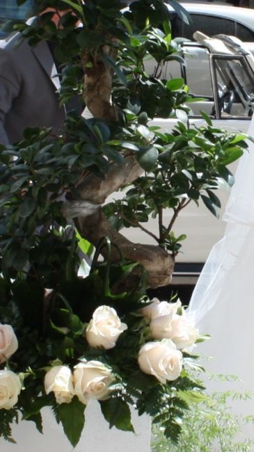 Per cosa avete detto wow ad un matrimonio? - 1