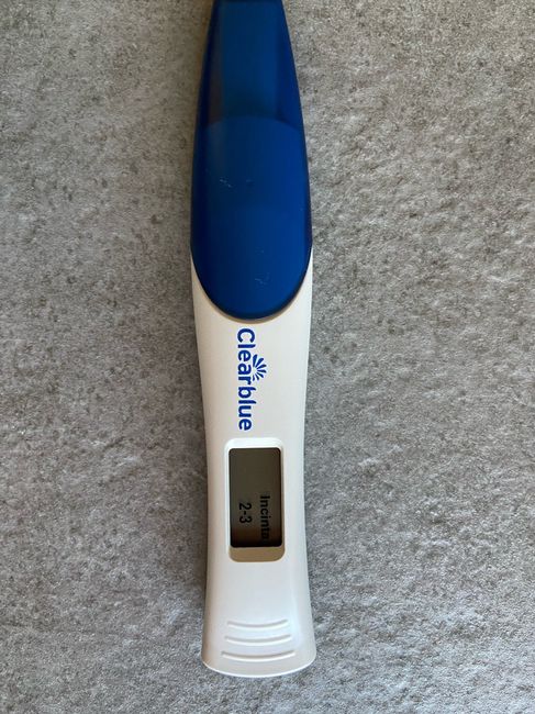 Chi non le aspetta per Giugno 2021 🌸🌸🌸 2