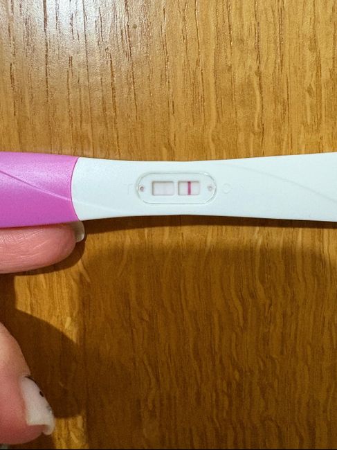 Chi non le aspetta per Dicembre 2024 🎄🍀♥️ - 1