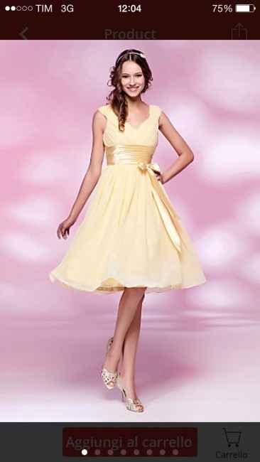 Le mie damigelle!abito!