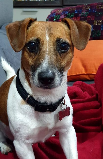 Si procede alla grande 6