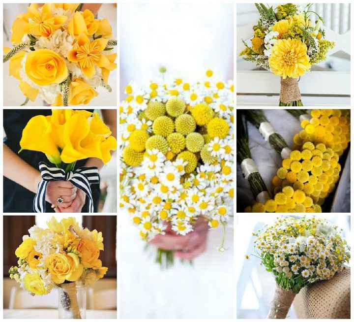 Fiori bianchi e gialli fine giugno - 3