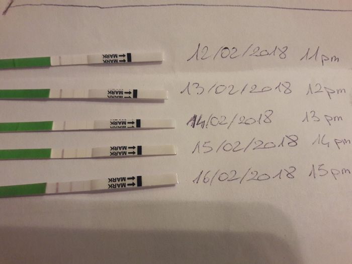 Foto test canadesi 4