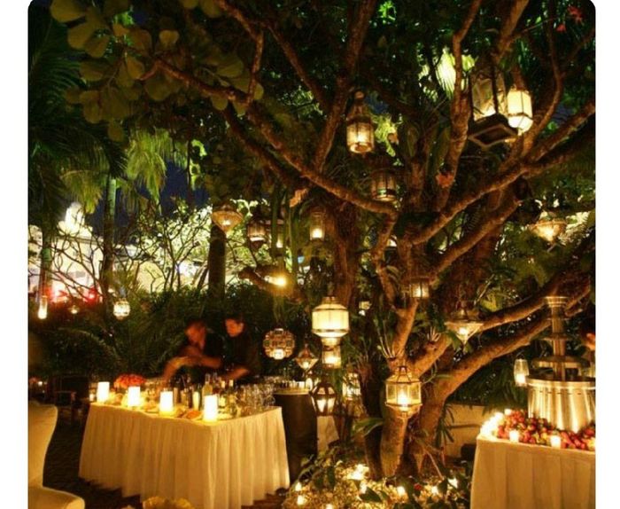 Tema: foresta incantata - 2