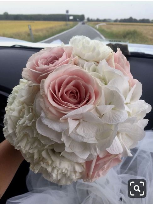 Peoblema con le rose! - 1