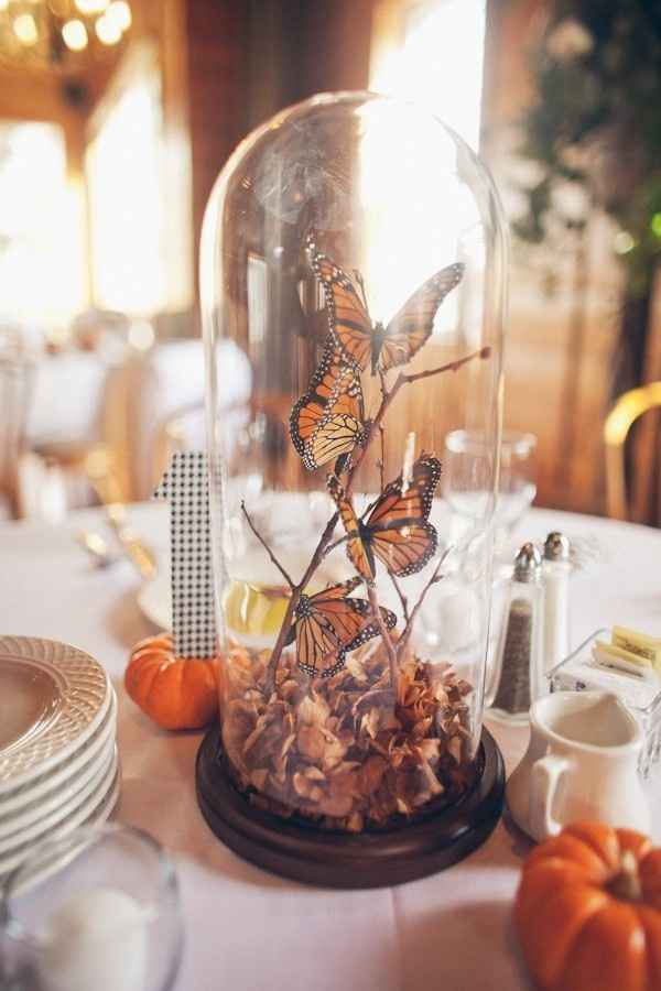 Tema farfalle! Idee varie 🦋 - 19