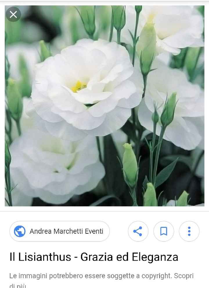 Girasoli fresie e... - 1