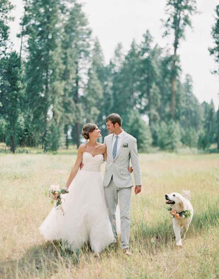 i nostri amici pelosi nel giorno delle nozze ❤️😍🐺🐱 - 2