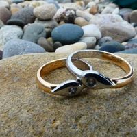 Fedi particolari - 1