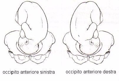 Esperienza di parto con feto in posizione vertice dorso anteriore 1