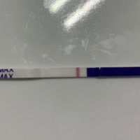 Chi non le aspetta per settembre 🍀🤞 - 1