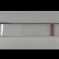 Chi non le aspetta per settembre 🍀🤞 - 2