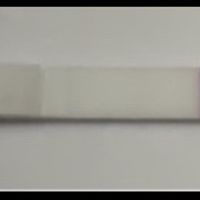 Chi non le aspetta per Settembre 2022 🍀🌈❤️ - 1