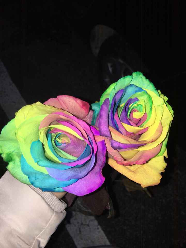 Rose arcobaleno - 1