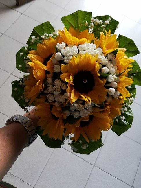 Girasoli che passione - 1