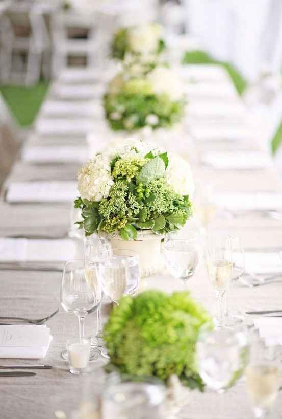  Help ho bisogno di un consiglio sui fiori! - 2