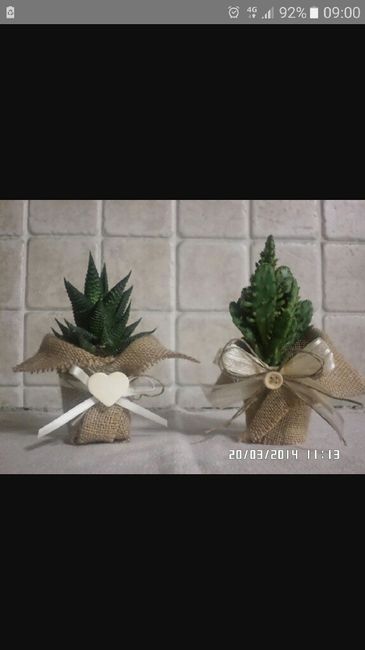 Bomboniera : piantina grassa ? - 1