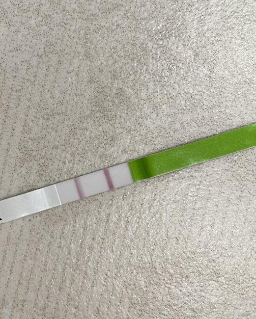 Chi non le aspetta per febbraio 2023 💪🏻❄️🍀🐞🥰 1