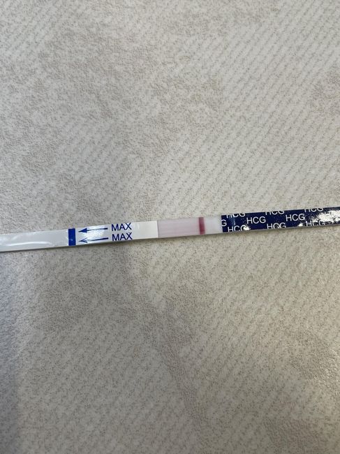 Chi non le aspetta per febbraio 2023 💪🏻❄️🍀🐞🥰 4