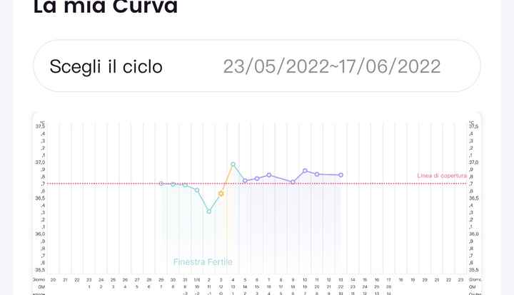 Temperatura basale per ricerca cicogna 🤞🏻 - 1