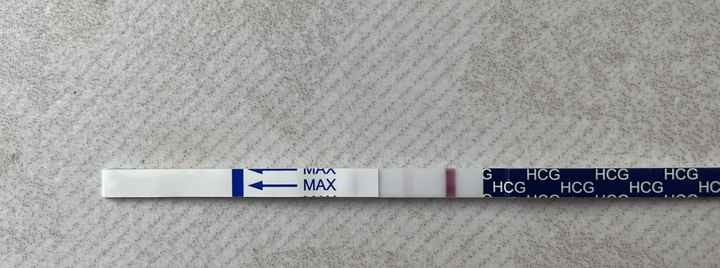 PMA 2024/2025 - 1
