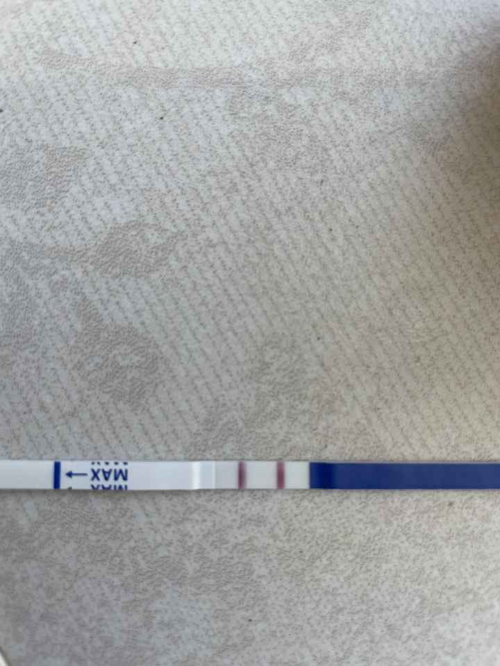 PMA 2024/2025 - 1