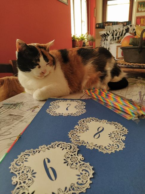 Numeri per tavoli 🌻 2