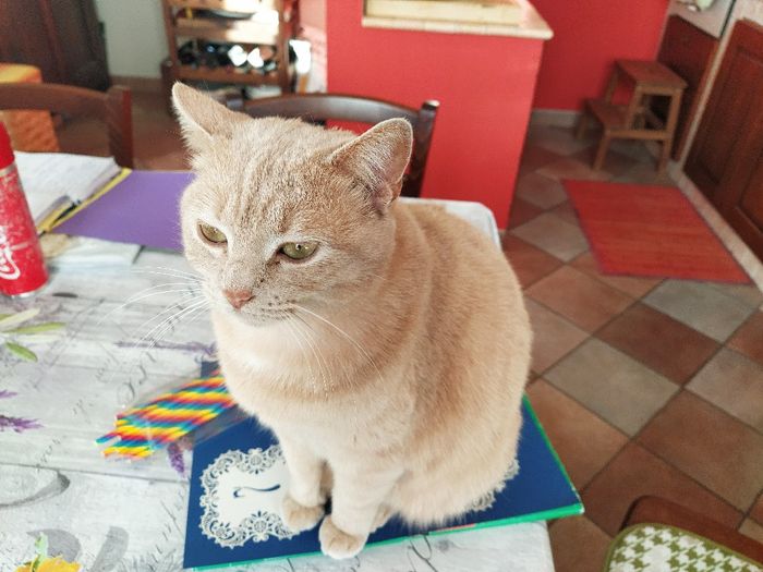 Numeri per tavoli 🌻 1