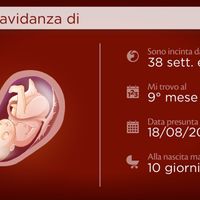 Ho quasi fattooooooo - 2