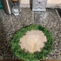 Parere sui centro tavola - 1