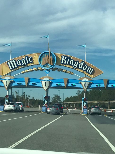 La nostra luna di miele a Disneyworld 😍 - 11