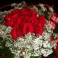 Rose fidanzamento ufficiale :)*:*