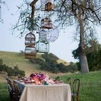 Allestimento con voliere