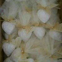 Segnaposto finiti - 3