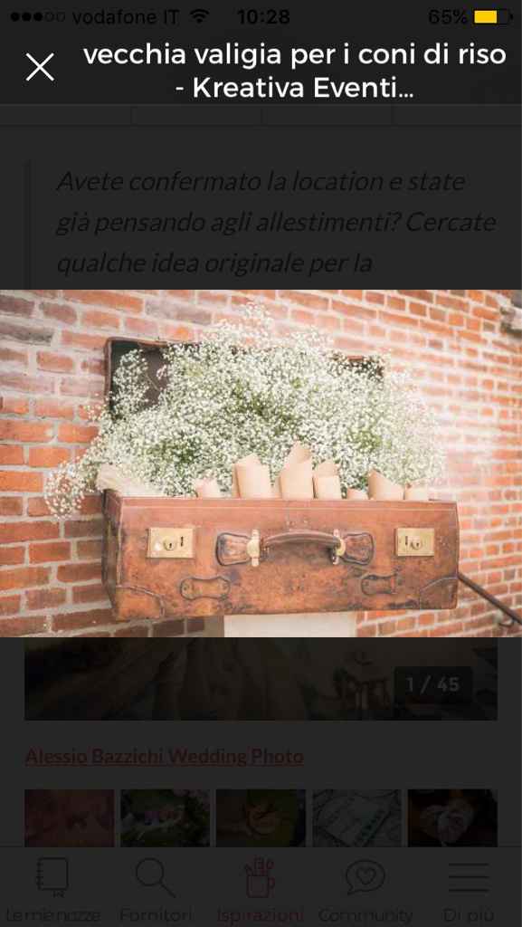 Gypsophila... brutta? - 2