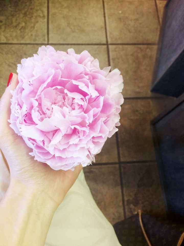 I fiori del mio bouquet 💐 - 1