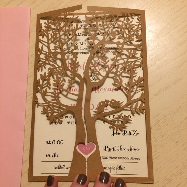 Campioni partecipazioni!!! - 2