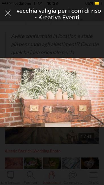 Fiori per addobbi - 2