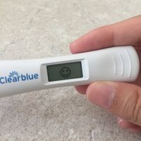 Aspiranti pancine di Agosto 2018 - 1